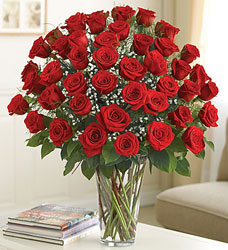 48 Premium Roses - You Choose Color from Clermont Florist & Wine Shop, flower shop in Clermont